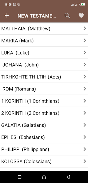 Mizo Bible Screenshot 1