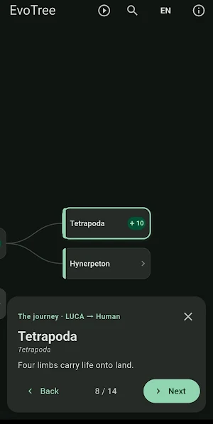 EvoTree Screenshot 3