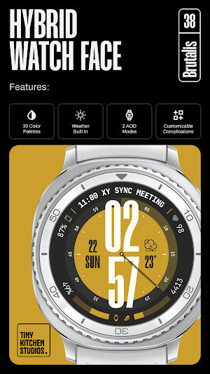 TKS 38 Brutalis Watch Face Screenshot 1
