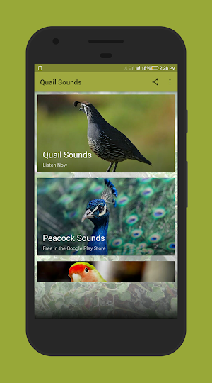 Quail Sounds Screenshot 0