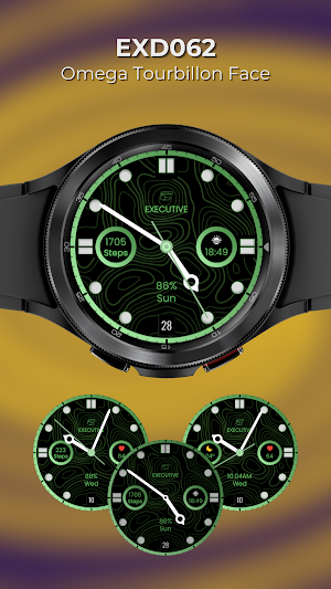 EXD062: Omega Tourbillon Face Screenshot 0