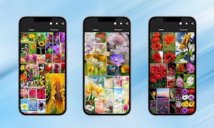 Picture Flowers and Roses Screenshot 0
