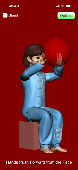Chair Tai Chi Screenshot 2