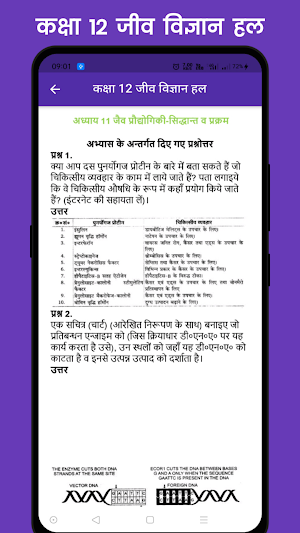 Class 12 Biology Solution Screenshot 3