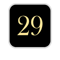 29 Card Game
