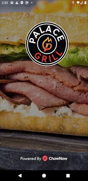 Palace Grill Screenshot 0