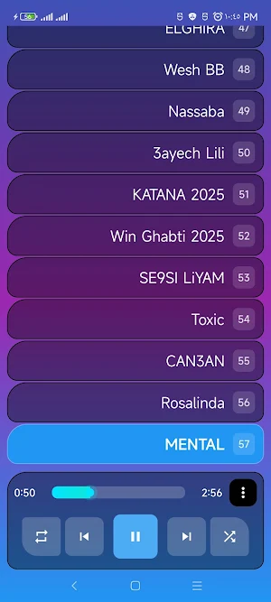 اغاني ديدين كانون بدون نت 2026 Screenshot 0