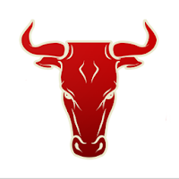 Bulls Burgers