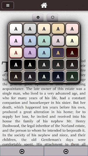 Sense and Sensibility Jane Austen Screenshot 2