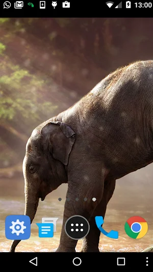 baby elephant wallpaper Screenshot 1
