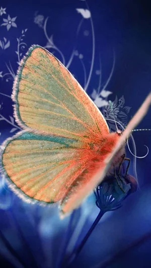 Butterfly Wallpaper 4K Screenshot 3