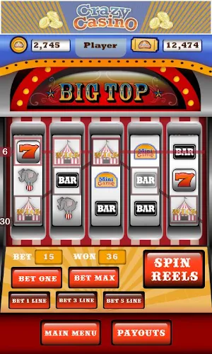 Crazy Casino Screenshot 0