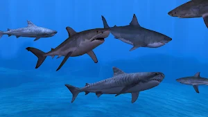 Fish Farm 3 - 3D Aquarium Simulator Screenshot 2
