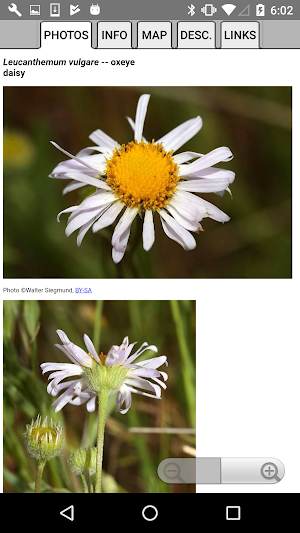 New Jersey Wildflowers Screenshot 3