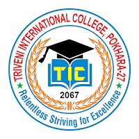 Triveni International College
