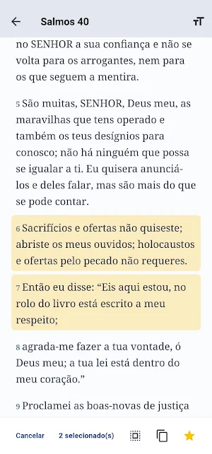 Bíblia: NAA Screenshot 2