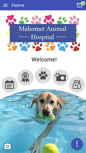 Mahomet Animal Hospital Screenshot 0