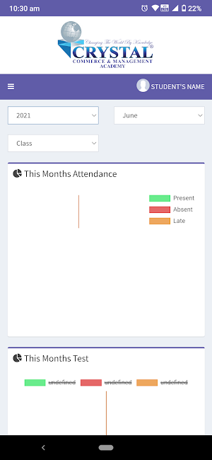 Crystal Reporting App Screenshot 3