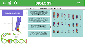 Biology GCSE Screenshot 0