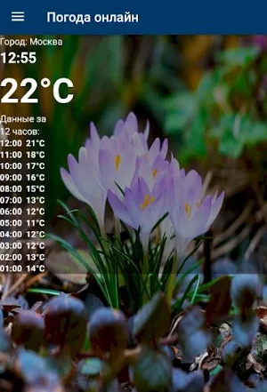 Погода в Москве онлайн Screenshot 2