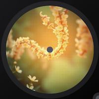 SPIRALRP