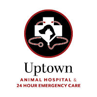 Uptown Vet