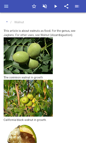 Nuts and seeds Screenshot 1