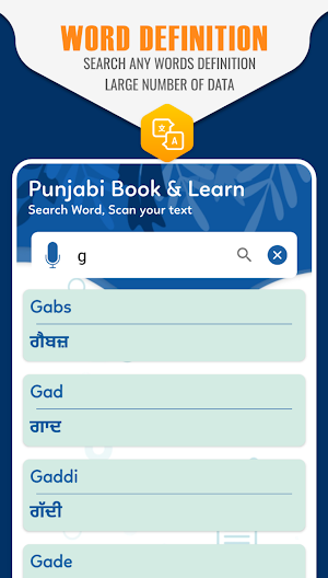 English to Punjabi Dictionary & Punjabi Translator Screenshot 2