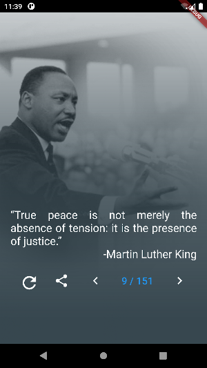 Martin Luther King Quotes Screenshot 0