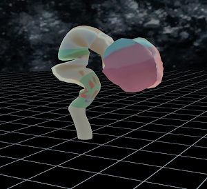 3D Developmental Neuroanatomy Screenshot 0