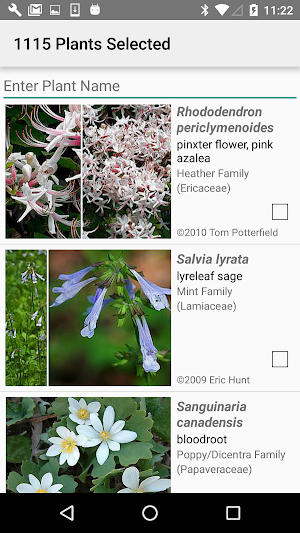 Virginia Wildflowers Screenshot 2