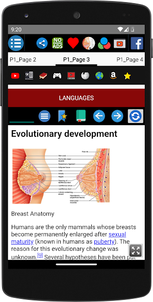 Breast - Anatomy Screenshot 3