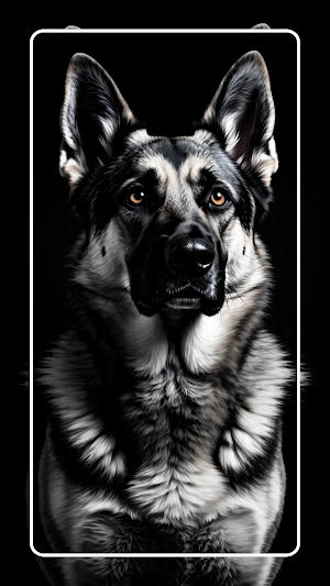 German shepherd wallpaper Screenshot 1