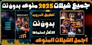 شيلات منوعه 2025 بدون نت Screenshot 0