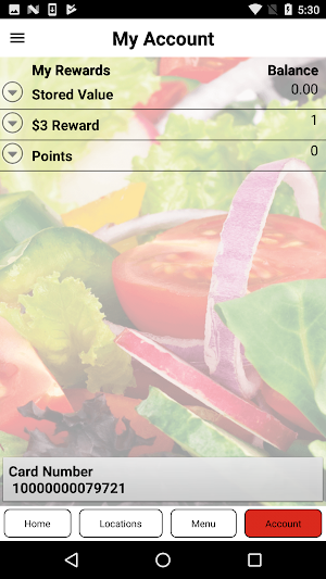 Souper Salad Screenshot 1