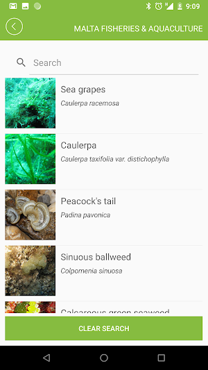 Malta Fisheries & Aquaculture Screenshot 1