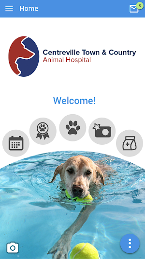 Town & Country Animal Hospital Screenshot 1