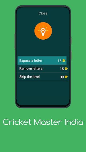 CRICKET MASTER INDIA Screenshot 1