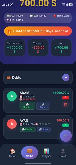 TS Finance - Debt & Budget Screenshot 2