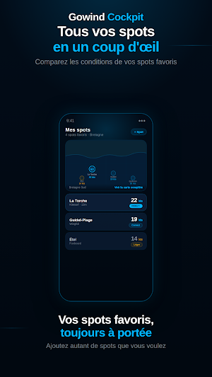GOWIND Cockpit - Glisse & Vent Screenshot 3
