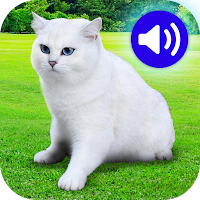 Animal Ringtones & wallpapers