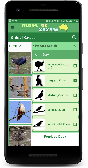 Australia Birds ID Kakadu Screenshot 3
