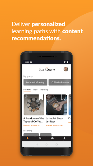 SparkLearn Screenshot 2