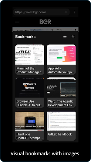 Pan Browser Screenshot 3