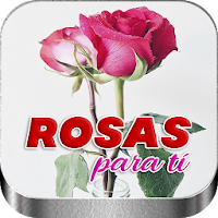 Rosas Hermosas para ti con Amor
