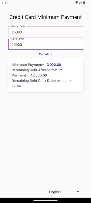 Credit Card Minimum Payment Screenshot 2