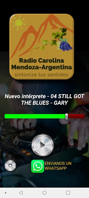 Radio Carolina Screenshot 1