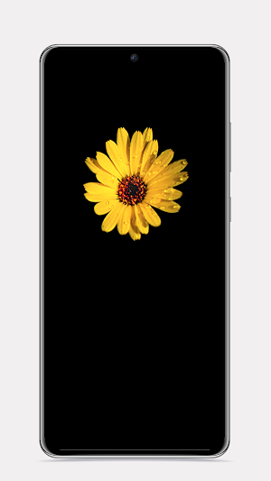 AMOLED Dynamic Wallpapers 8K Screenshot 1
