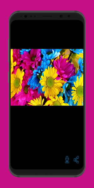 roses and flowers Screenshot 3