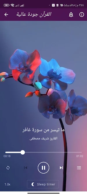 القران بصوت شريف مصطفى بدون نت Screenshot 2